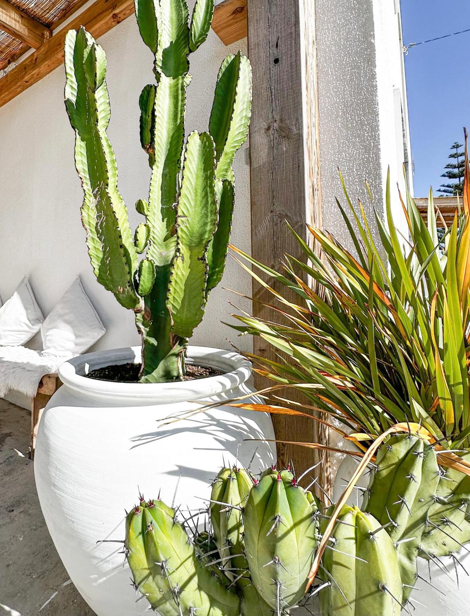 Ocean House - Ribeira D'Ilhas Ericeira Hostel ภายนอก รูปภาพ